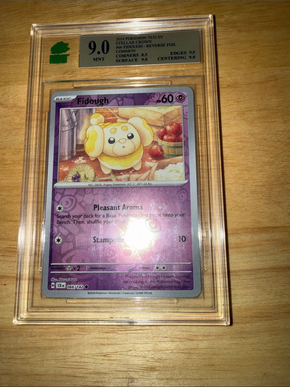 Pokemon Fidough Card - Purple and Yellow Artwork